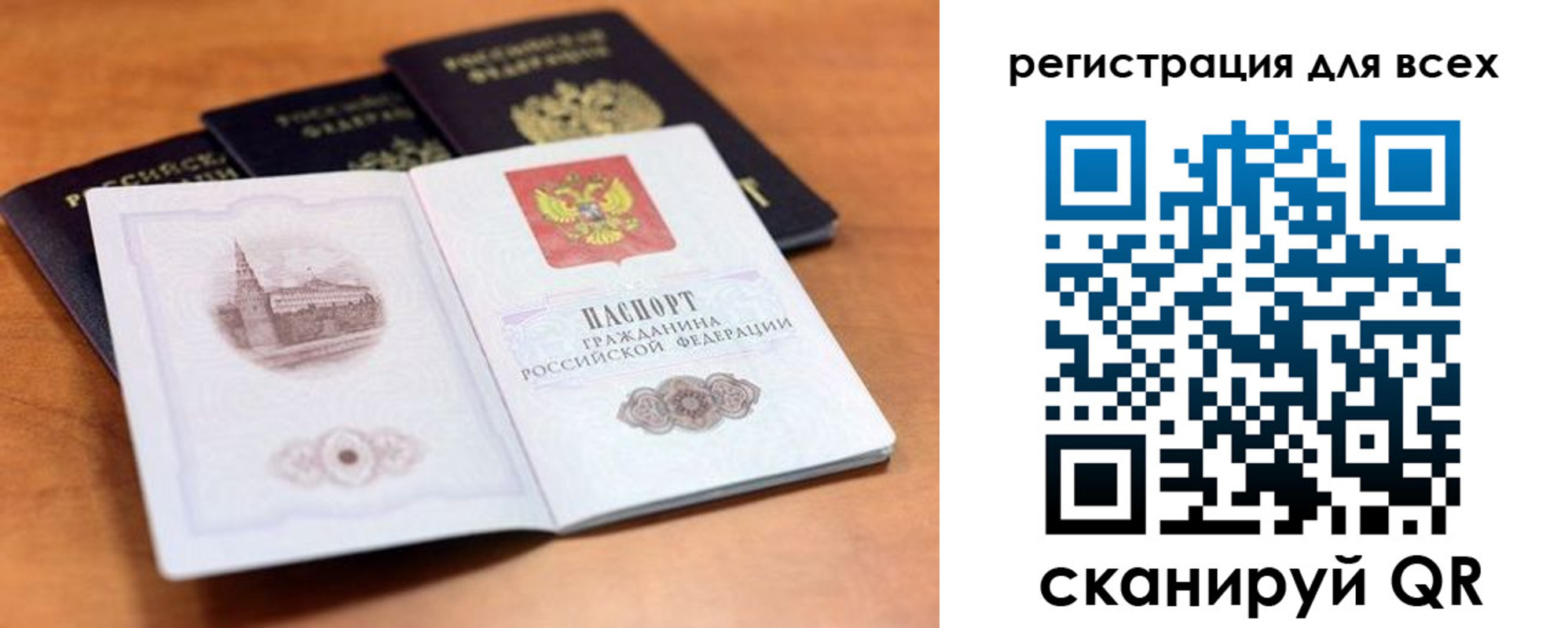 прописка гарантия в Камышине